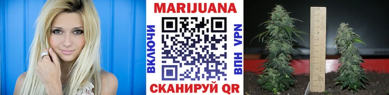 Купить наркотики сайты Тырныауз ГАШ  A PVP  мега как войти  Мефедрон 